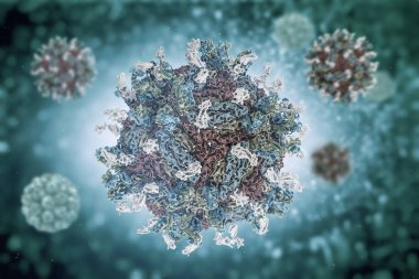 Dang virüs. engue bir akut viral hastalığı bulaşıcı ateş. Dang virüs (Pdb 4c2i) serotip 1 Fab ile complexed yapısı insan antikoru parçaları.
