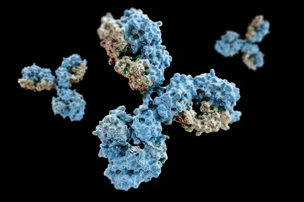 ウイルスの細胞移動に対する抗体 — ストック写真