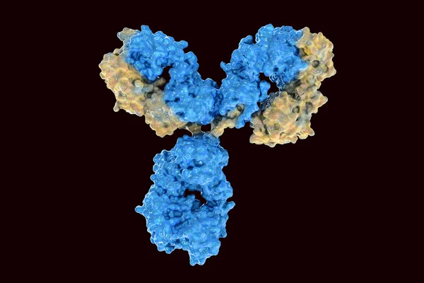 Digital Image Real Cell Antibodies Used Fight Virus — Stock Photo, Image