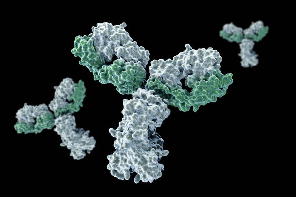 Digital image of a real cell antibodies used in the fight against the virus.