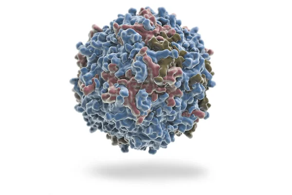 Hepatit Virüsü Hepatit Virüsü Yapısı Çizim — Stok fotoğraf