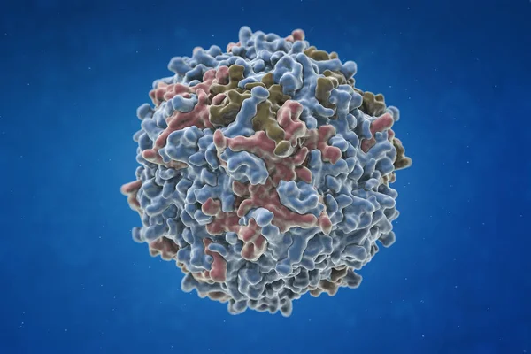 型肝炎ウイルス 型肝炎ウイルスの構造 イラストレーション — ストック写真