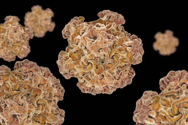 ヒトパピ ローマ ウイルスは 人から人へ感染の最も一般的な感染症の つです ひと乳頭腫ウイルス Pdb 1Dzl 蛋白質から組み立てられた小さなウイルス様粒子の構造 — ストック写真
