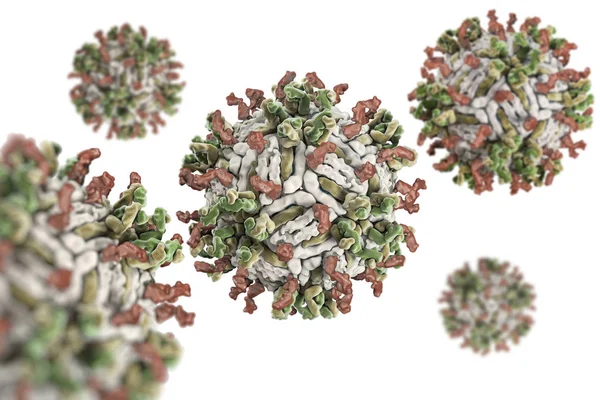 デング熱ウイルス Engue は熱伝達性急性ウイルス性疾患です ひと抗体のフラグメントのデング熱ウイルス Pdb 4C2I 血清型 工場複合体の構造 — ストック写真