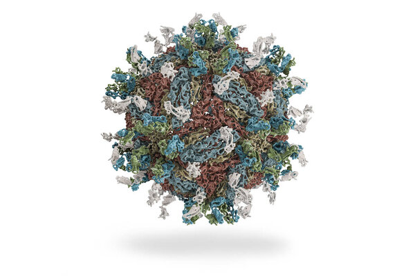 Dengue virus. engue fever an acute viral disease transmissible. Structure of Dengue virus (PDB 4C2I) serotype 1 complexed with Fab fragments of human antibody.