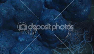 Uçuş kamera hareketi ile virüs hücreleri döngüsel animasyon