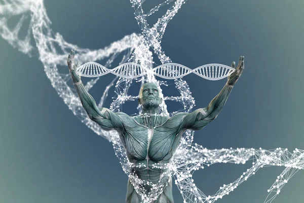 Dna Moleculen Man Kleurrijke Illustratie Stockfoto