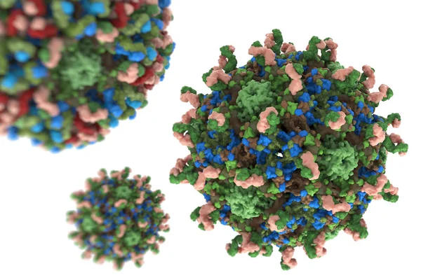 Wirus brodawczaka ludzkiego. Struktury wirusa brodawczaka ludzkiego. 3D — Zdjęcie stockowe