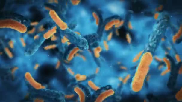抗体は人体内部のウイルスを攻撃する — ストック動画