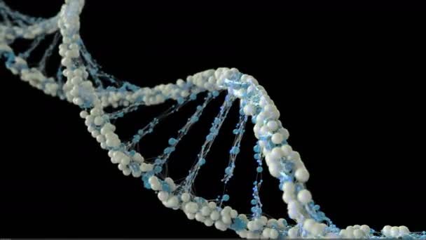 Animação Molécula Brilhante Dna Rotativa — Vídeo de Stock