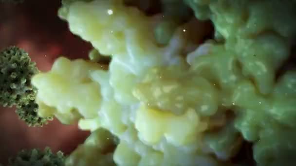 Атаковать Вирус Гепатита Организме Человека — стоковое видео