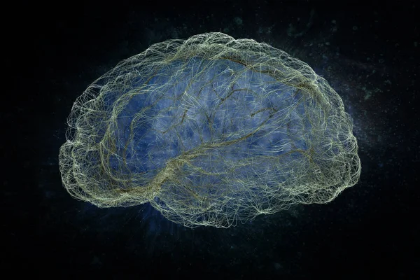 Cérebro Humano Suas Capacidades Visão Conceitual Renderização — Fotografia de Stock