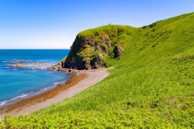 Sahalin doğası. Cape Evstafieva.