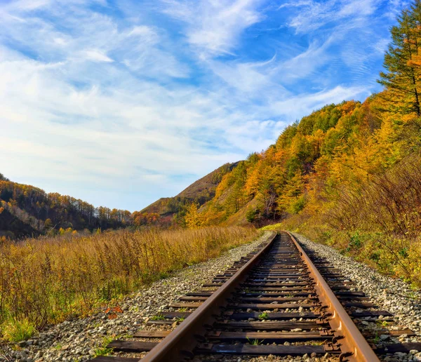 Train Going Lake Sakhalin — Stock Photo, Image