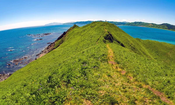 Sahalin doğası. Cape Evstafieva.