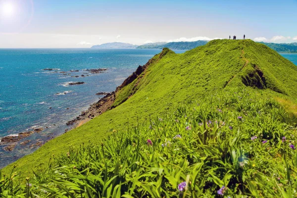 Sahalin doğası. Cape Evstafieva.