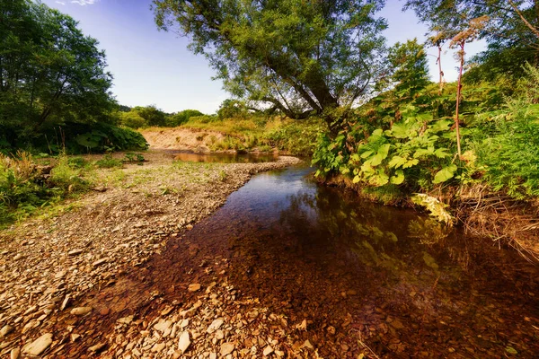 Güney Sakhalin Doğası Yaz — Stok fotoğraf