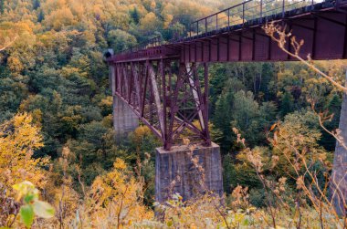 Şeytan'ın Köprüsü üzerinde yarı bulunan köprü Sahalin bölgesi demiryolu streç Nikolaychuk Kamyshevo Sakhalin sökülmüş.
