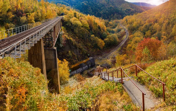 魔鬼桥在萨哈林岛地区的桥梁 位于半拆除铁路伸展 Nikolaychuk Kamyshevo 萨哈林岛 — 图库照片