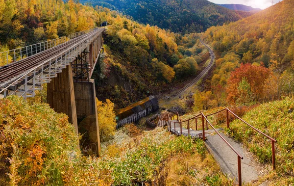 Şeytan'ın Köprüsü üzerinde yarı bulunan köprü Sahalin bölgesi demiryolu streç Nikolaychuk Kamyshevo Sakhalin sökülmüş.
