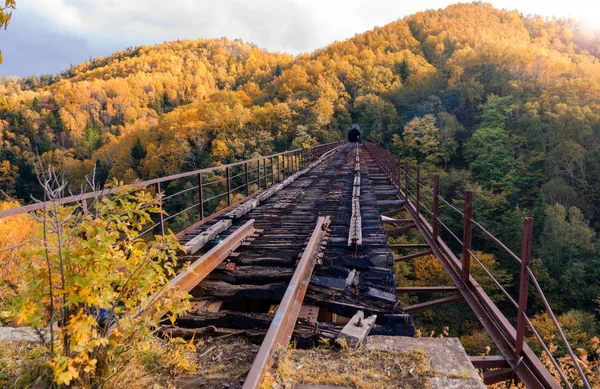 สะพานของป ศาจ สะพานในภ ภาค Sakhalin งอย บนทางรถไฟก โคไลช Kamyshevo Sakhalin — ภาพถ่ายสต็อก