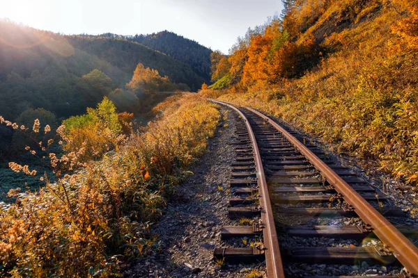 悪魔の橋 準決勝であるサハリン州における橋解体鉄道ストレッチ Nikolaychuk Kamyshevo サハリン — ストック写真