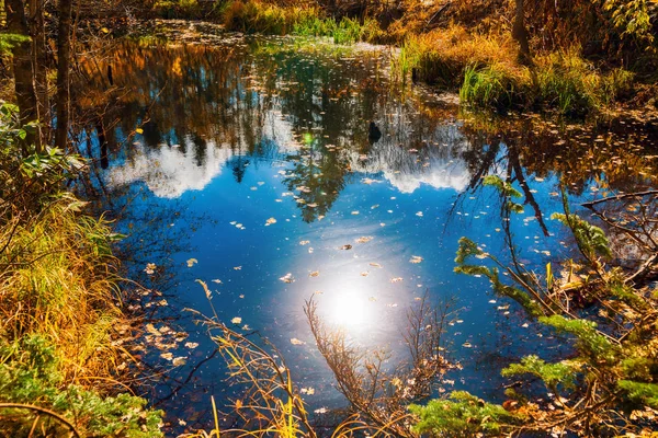 Sumpf Einem Klaren Herbsttag Sachalin — Stockfoto