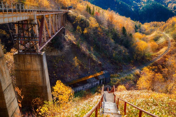 สะพานป ศาจในภ ภาค Sakhalin งอย บนทางรถไฟก อถอนย โคไลช Kamyshevo Sakhalin — ภาพถ่ายสต็อก