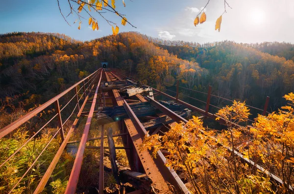 สะพานป ศาจในภ ภาค Sakhalin งอย บนทางรถไฟก อถอนย โคไลช Kamyshevo Sakhalin — ภาพถ่ายสต็อก