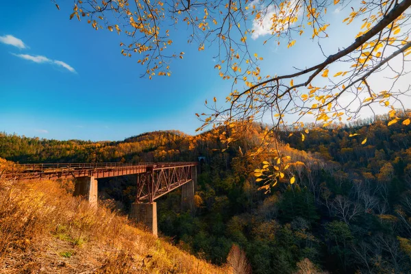 Şeytan Bridge Yarı Sökülmüş Demiryolu Üzerinde Yer Alan Sahalin Bölgesi — Stok fotoğraf