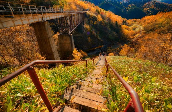 Teufelsbrücke Der Sachalin Region Auf Der Halbdemontierten Eisenbahnstrecke Nikolaychuk Kamyshevo Stockbild