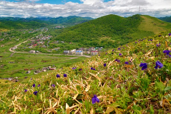 Çehov köyü kuş bakışı. Sakhalin.