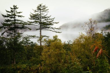 Güney Sakhalin Adası doğası.