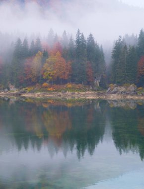 Göl kenarında renkli ormanın güzel yansımaları Laghi di Fusine Güz Tarvisio İtalya, Europe yakınındaki bir sisli sabahı