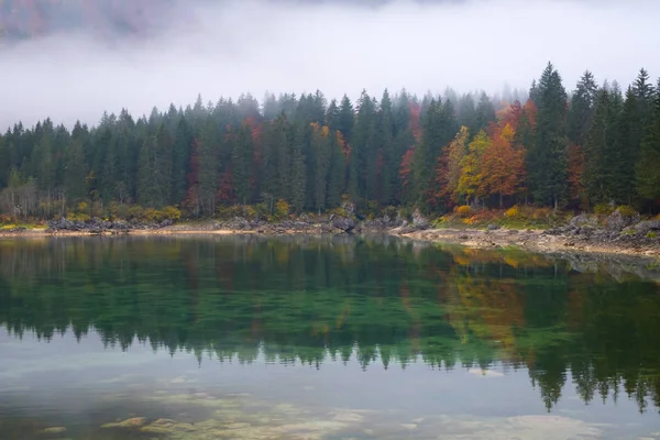 Hermosos Reflejos Colorido Bosque Lago Laghi Fusine Una Mañana Brumosa — Foto de Stock