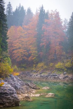 Görüntülemek göl üzerinde Laghi di Fusine plaj ve dağ silsilesi Mangart Tarvisio İtalya yakınındaki bazı taşlara bir sisli sabahı