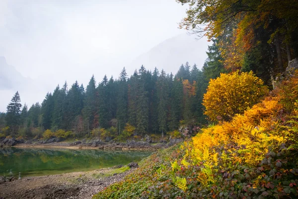 Vista Sobre Lago Laghi Fusine Una Mañana Brumosa Con Algunas — Foto de Stock