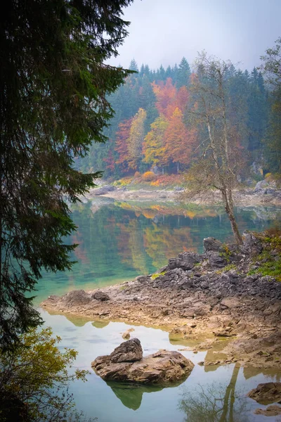 这棵神奇的树在湖上 在意大利的 Tarvisio 附近的一个雾蒙蒙的早晨 在水面上有很好的倒影 — 图库照片