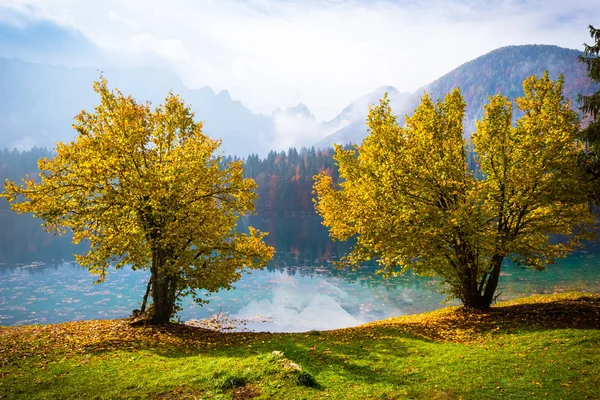 Vista Sobre Lago Laghi Fusine Cordillera Mangart Cerca Tarvisio Italia — Foto de Stock