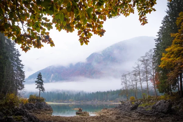 Esta Árvore Mágica Lago Laghi Fusine Com Belas Reflexões Sobre — Fotografia de Stock