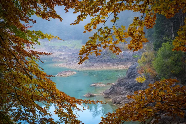Vista Através Árvores Com Folhas Coloridas Para Lago Laghi Fusine — Fotografia de Stock