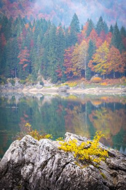 View over lake Laghi di Fusine on a foggy morning with some rocks at the beach and mountain range Mangart near Tarvisio in Italy clipart