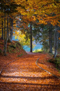 Birçok yolu bırakır gölde Laghi di Fusine İtalya sonbaharda güneşli sabahı Tarvisio yakınındaki