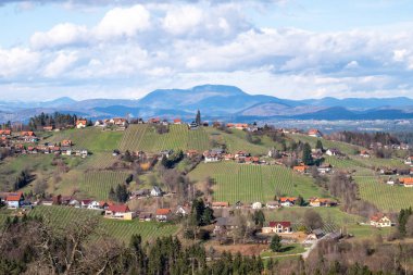 Üzüm bağları ve m ile Schilcherland Stainz Weinstrasse asma rota