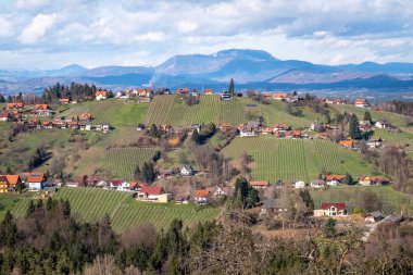 Üzüm bağları ve m ile Schilcherland Stainz Weinstrasse asma rota
