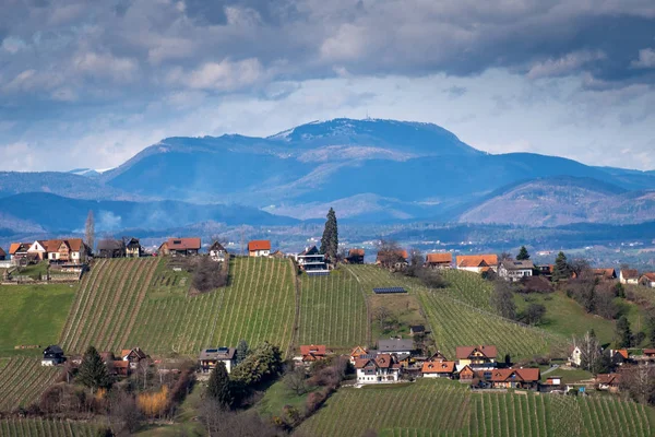 Schilcherland Stainz Weinstrasse vinstockar rutt med vingårdar och m — Stockfoto