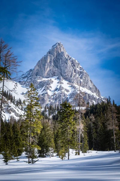 Karlı dağ Admonter ile Kaiserau Yaylası üzerinden dikey görünüm — Stok fotoğraf