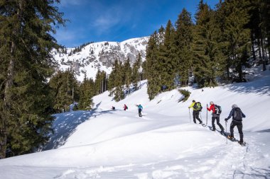 Yetişkin Kaiserau thruogh ormanda dağ Kreu ile snowshoeing