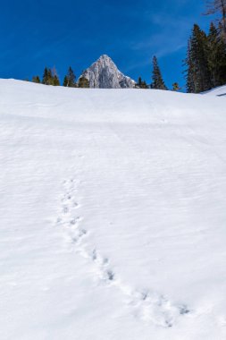 Kaiserau hayvan ayak izleri ile dağ Admo karlı yokuş