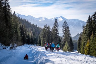 Yetişkin Kaiserau thruogh ormanda dağ Rott ile snowshoeing